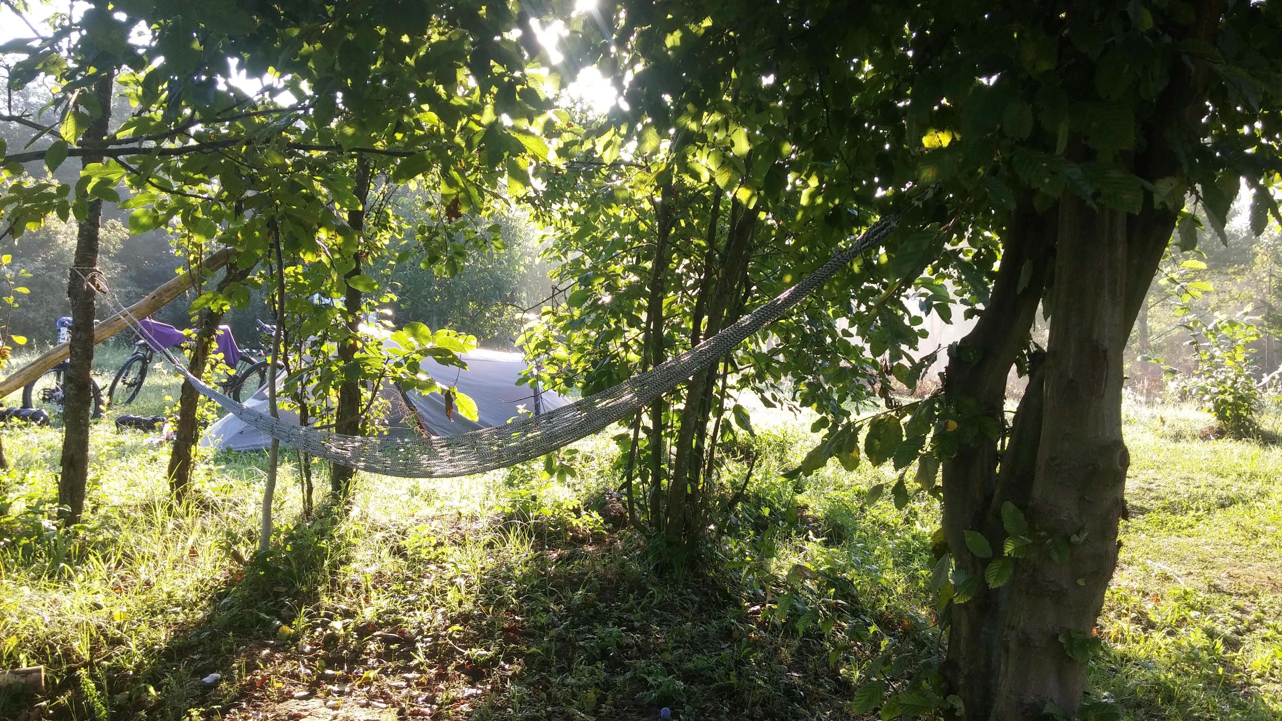 Geniet van de natuur in ons Rijk Bos!